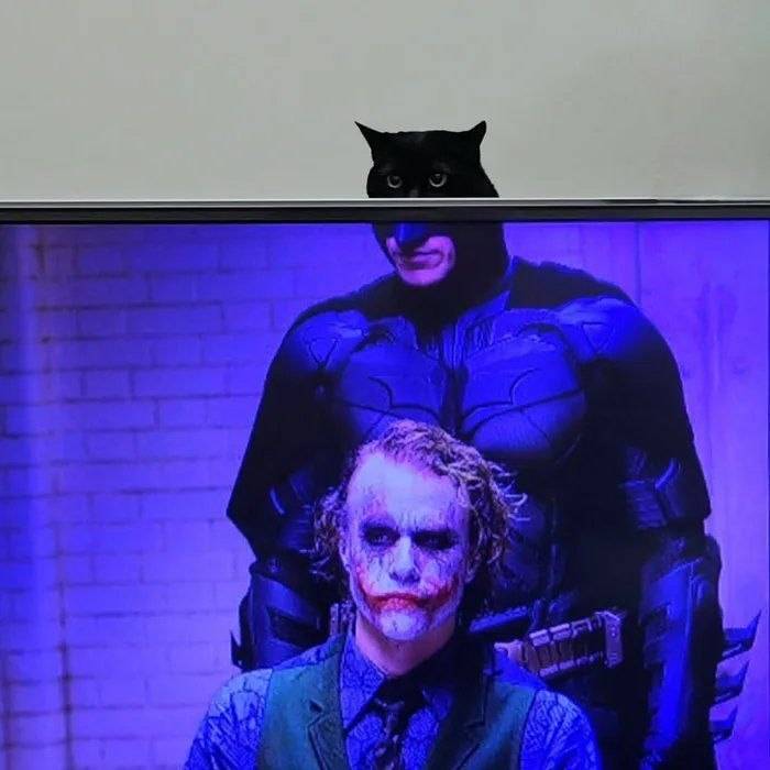 *Режиссёрская версия*