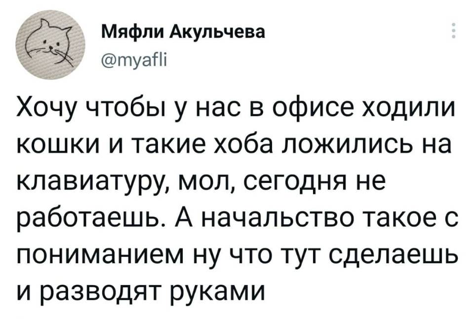 Хочу чтобы у нас в офисе ходили кошки и такие хоба ложились на клавиатуру, мол, сегодня не работаешь. А начальство такое с пониманием ну что тут сделаешь и разводят руками.