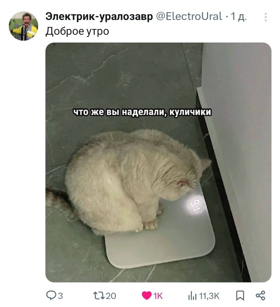 Доброе утро что же вы наделали, куличики!