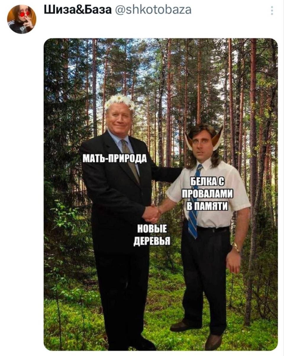*Мать-Природа*
*Новые деревья*
*Белка с провалами в памяти*