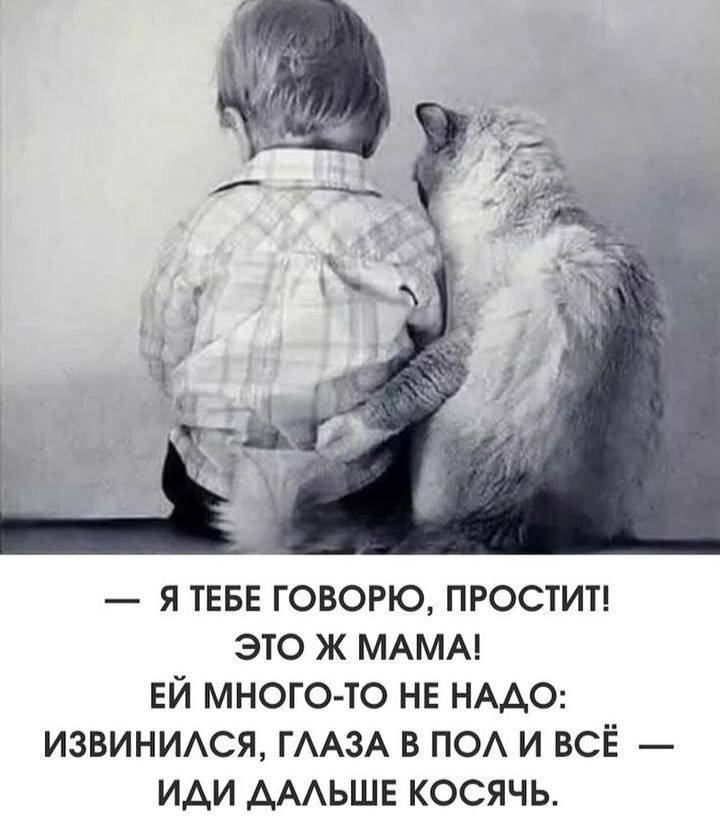 — Я тебе говорю, простит! Это ж мама! Ей много-то не надо: извинился, глаза в пол и всё – иди дальше косячь.