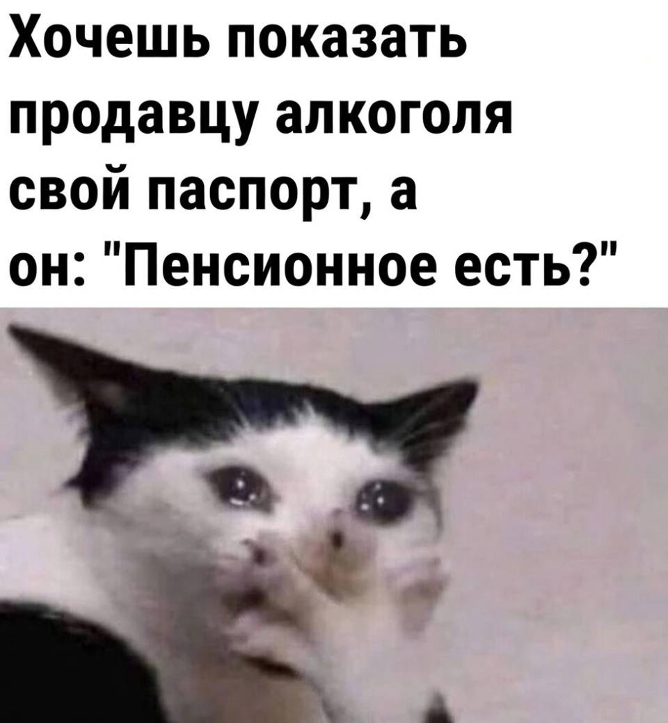 Хочешь показать продавцу алкоголя свой паспорт, а он: Пенсионное есть? :i – ? A