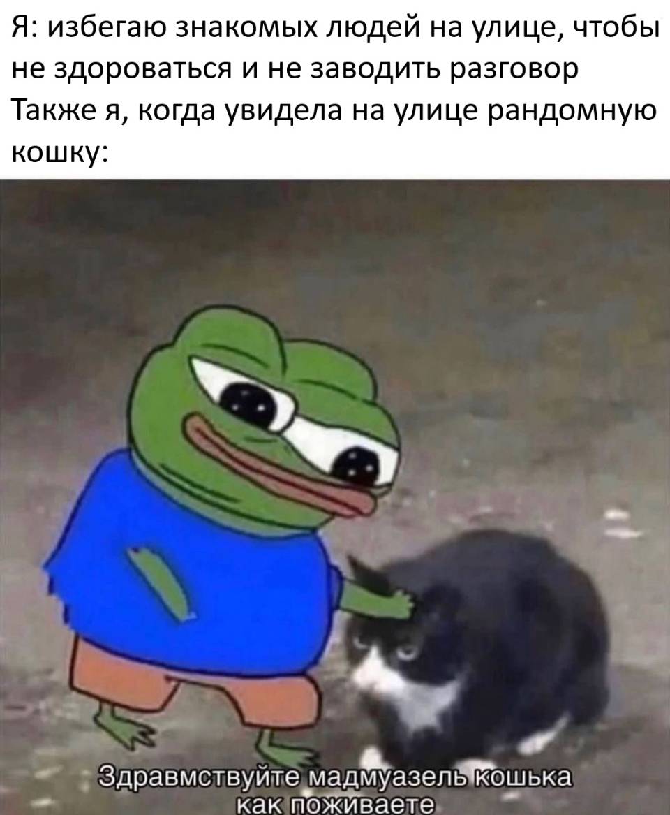 Мои встречи | Животные
