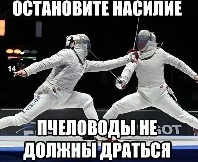 *Остановите насилие! Пчеловоды не должны драться!*