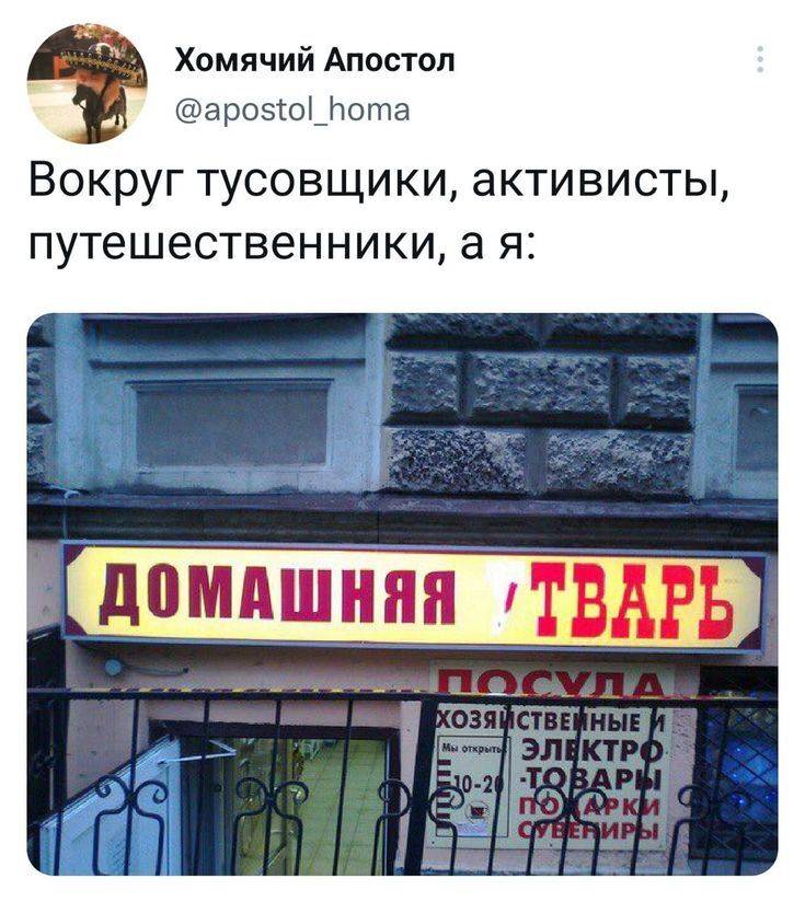 Вокруг тусовщики, активисты, путешественники, а я:
*ДОМАШНЯЯ ТВАРЬ* | Жизненное