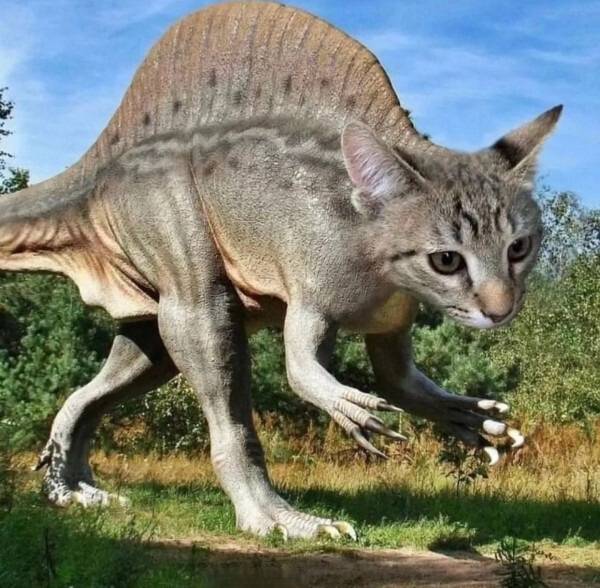 *Диваноцараптор*