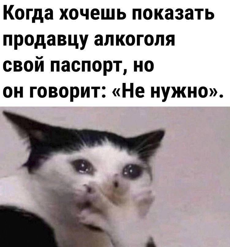 Когда хочешь показать продавцу алкоголя свой паспорт, но он говорит: «Не нужно».