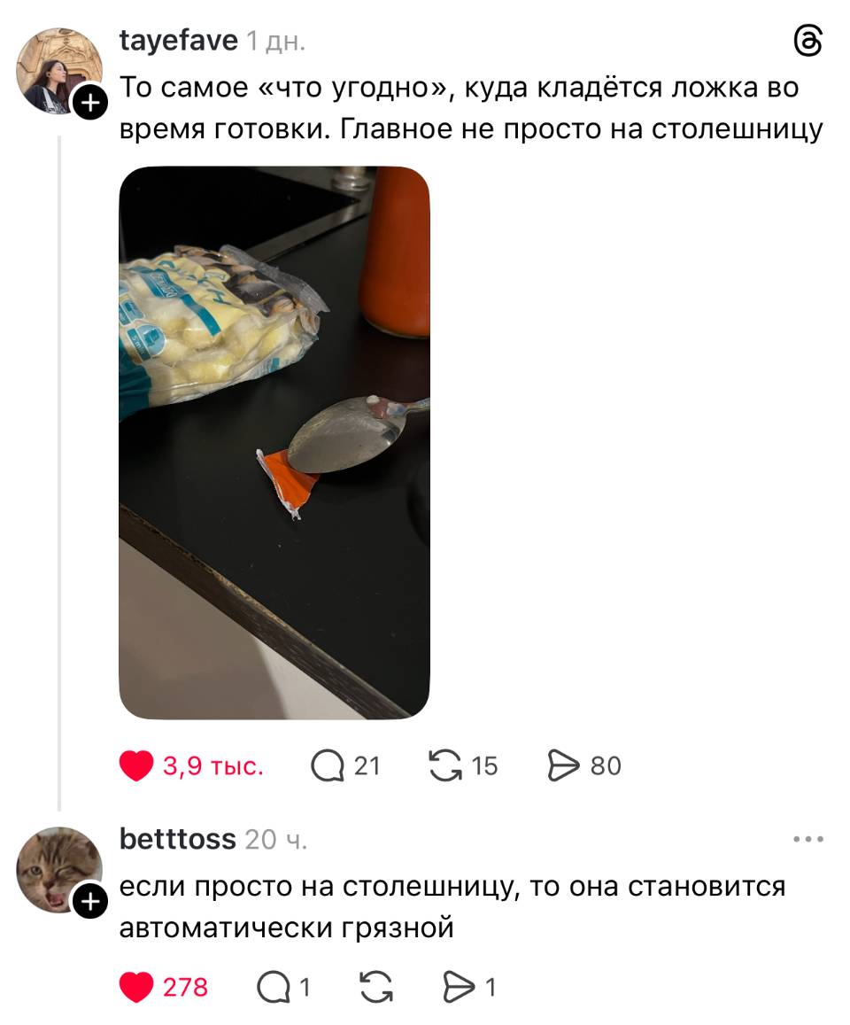 – То самое «что угодно», куда кладётся ложка во время готовки. Главное не просто на столешницу.
– Если просто на столешницу, то она становится автоматически грязной.