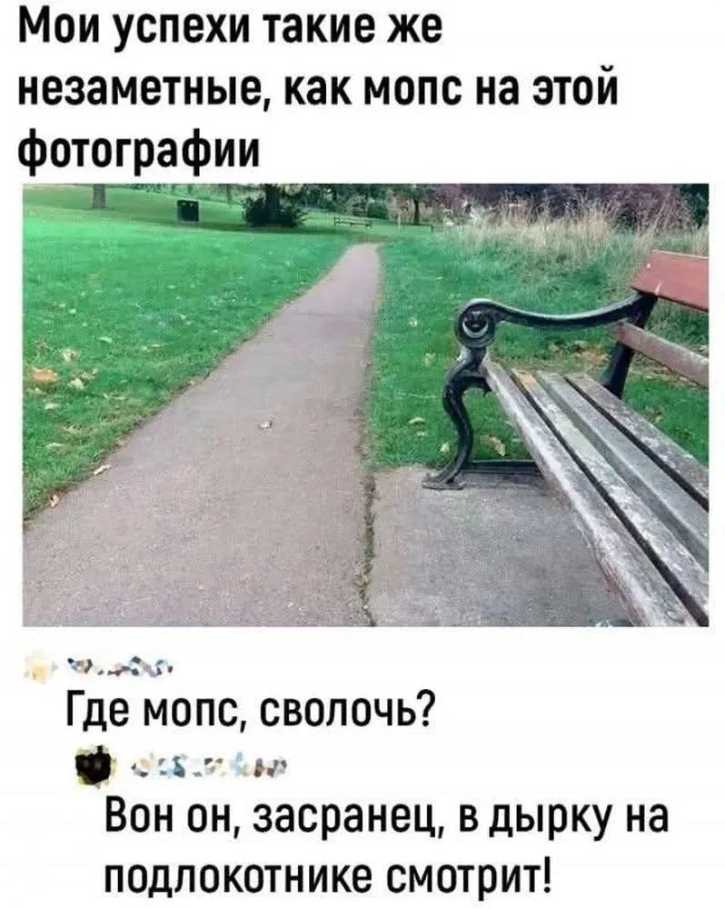 – Мои успехи такие же незаметные, как мопс на этой фотографии.
– Где мопс, сволочь?
– Вон он, засранец, в дырку на подлокотнике смотрит!