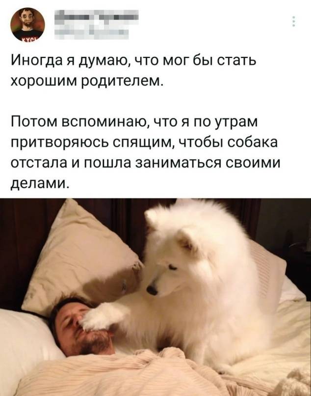 Порой мне кажется, что я бы мог стать хорошим родителем. Потом вспоминаю, что я по утрам притворяюсь спящим, чтобы собака отстала и пошла заниматься своими делами. | Жизненное