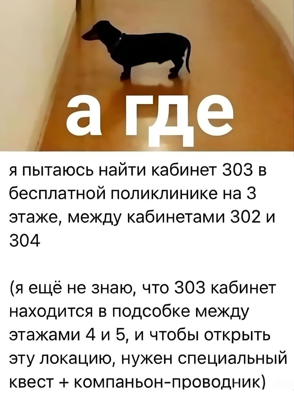 Я пытаюсь найти кабинет 303 в бесплатной поликлинике на з этаже, между кабинетами 302 и 304 (я ещё не знаю, что 303 кабинет находится в подсобке между этажами 4 и 5, и чтобы открыть эту локацию, нужен специальный квест + компаньон-проводник).