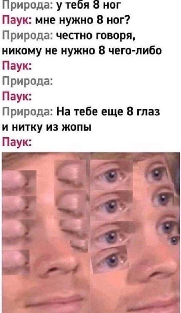 Природа: У тебя 8 ног.
Паук: Мне нужно в ног?
Природа: честно говоря, никому не нужно 8 чего-либо.
Паук:
Природа:
Паук:
Природа: На тебе ещё в глаз и нитку из жопы.
Паук: | Тупые анекдоты | Странный юмор