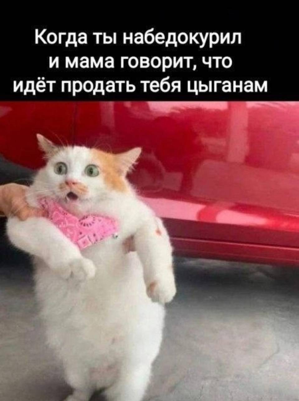 *Когда ты набедокурил и мама говорит, что идёт продать тебя цыганам.* | Дети