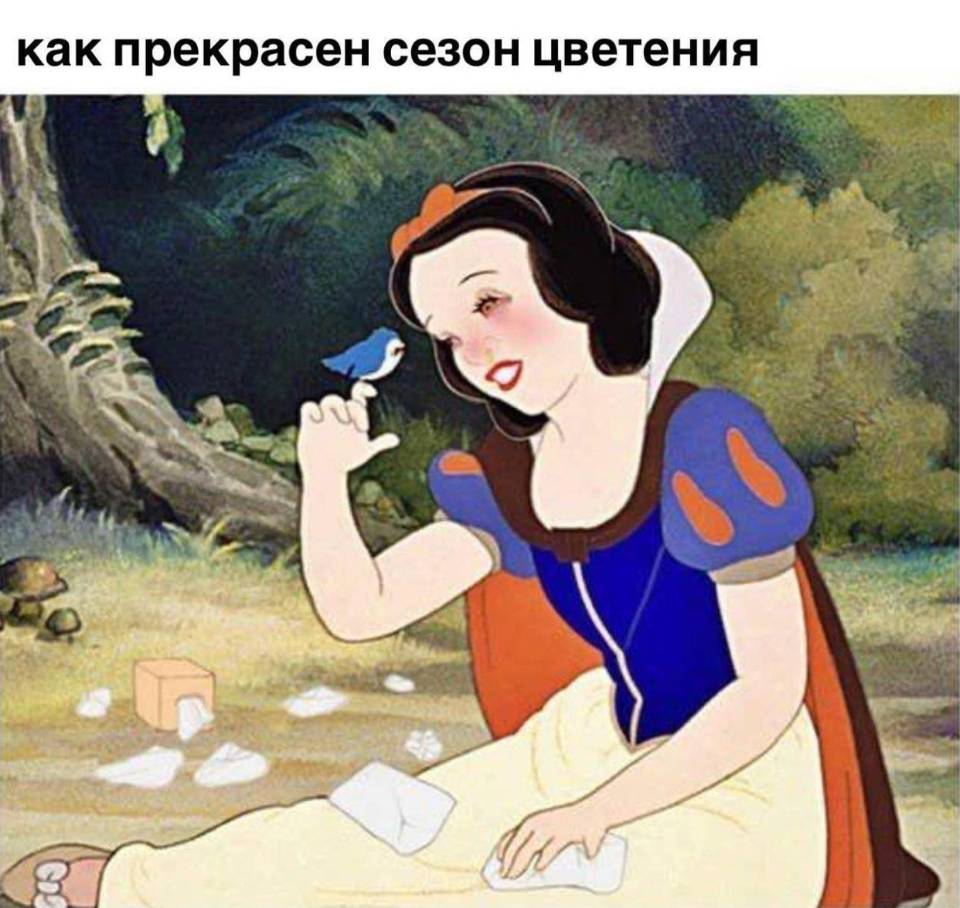 *Как прекрасен сезон цветения*