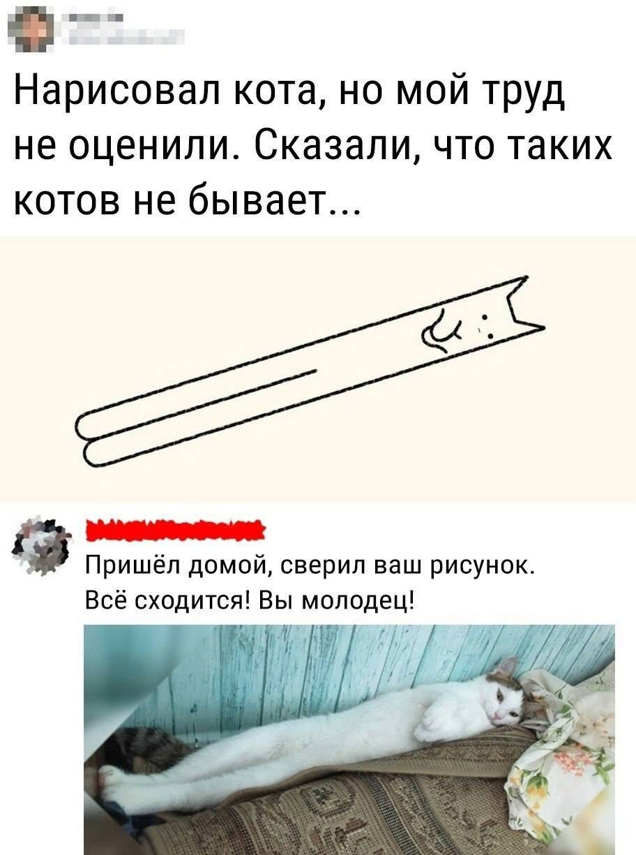 Нарисовал кота, но мой труд не оценили. Сказали, что таких котов не бывает...
Пришёл домой, сверил ваш рисунок. Всё сходится! Вы молодец!