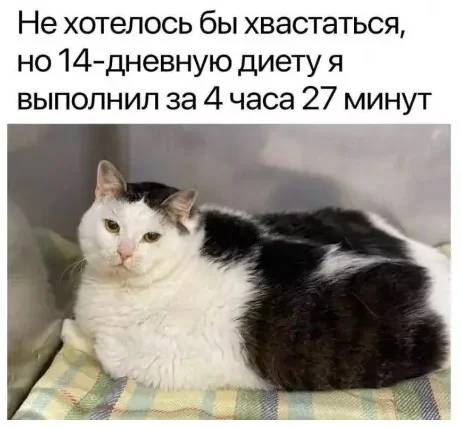 Не хотелось бы хвастаться, но двухнедельную диету я выполнил за 5 часов 10 минут.
