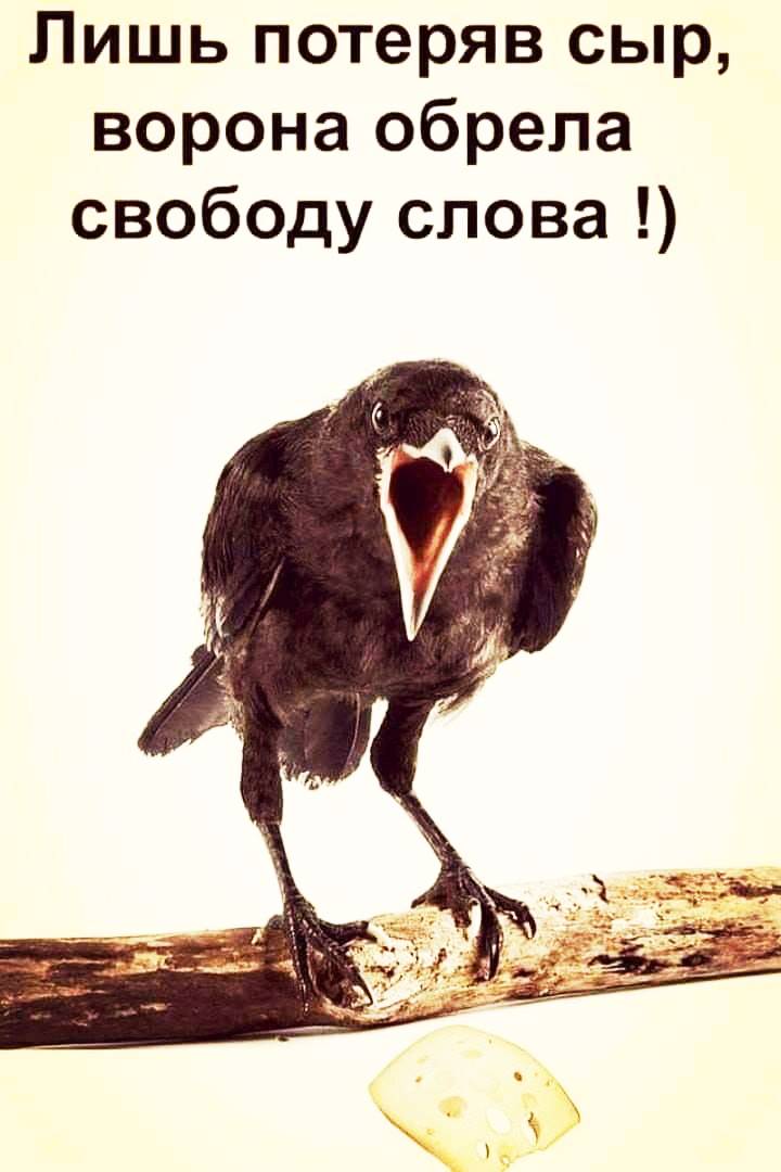 Лишь потеряв сыр, ворона обрела свободу слова!