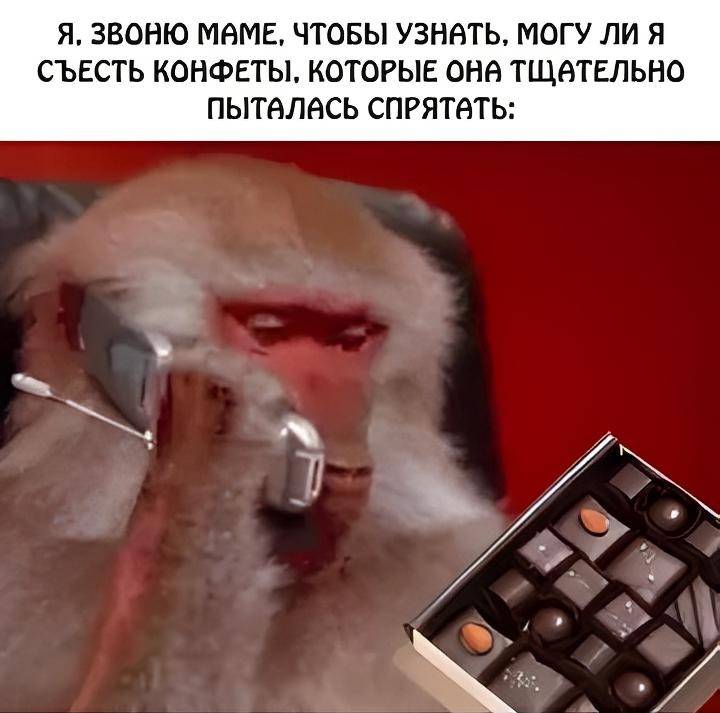 Я ЗВОНЮ МАМЕ, ЧТОБЫ УЗНАТЬ, МОГУ ЛИ Я СЪЕСТЬ КОНФЕТЫ, КОТОРЫЕ ОНА ТЩАТЕЛЬНО ПЫТАЛАСЬ ОТ МЕНЯ СПРЯТАТЬ.