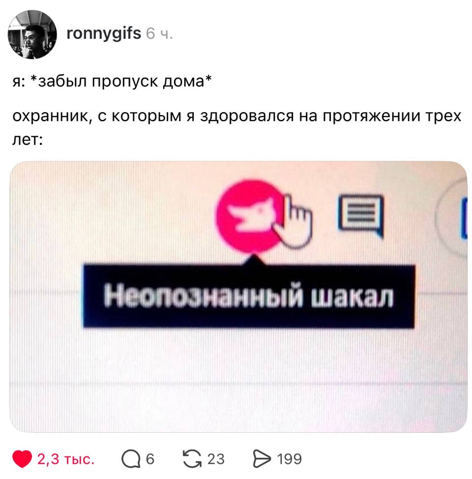 Я: *забыл пропуск дома*
Охранник, с которым я здоровался на протяжении трех лет: *Неопознанный шакал*.