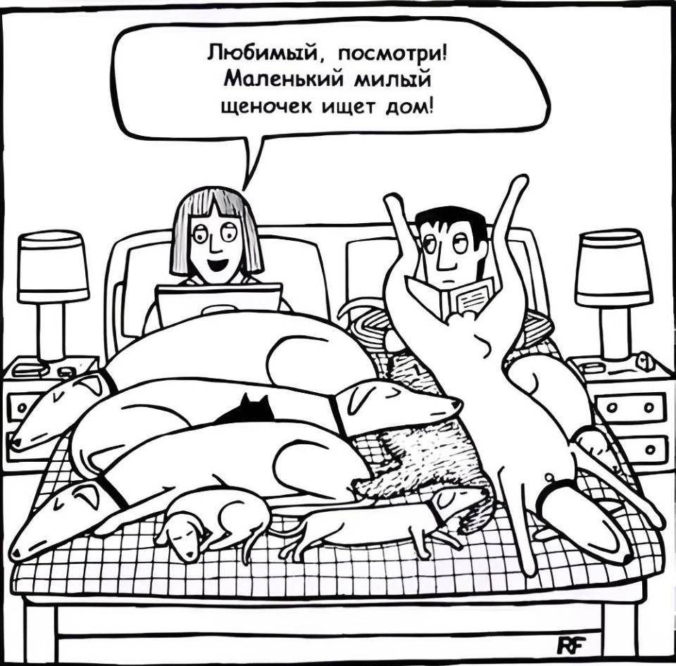 Маленький милый щеночек ищет дом!