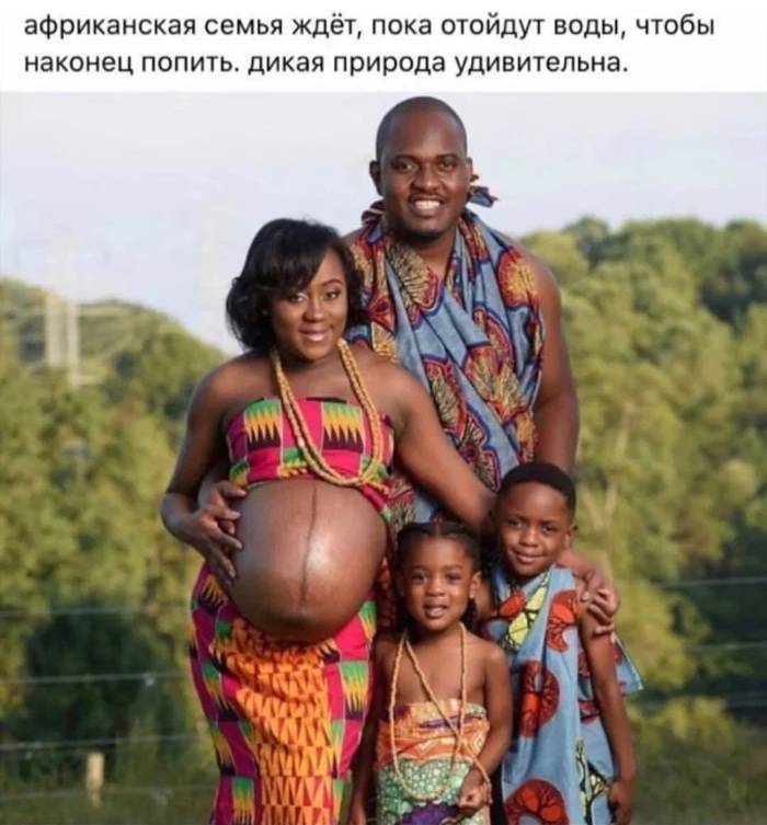 Африканская семья ждёт, пока отойдут воды, чтобы наконец попить. Дикая природа удивительна. | Тупые анекдоты | Странный юмор