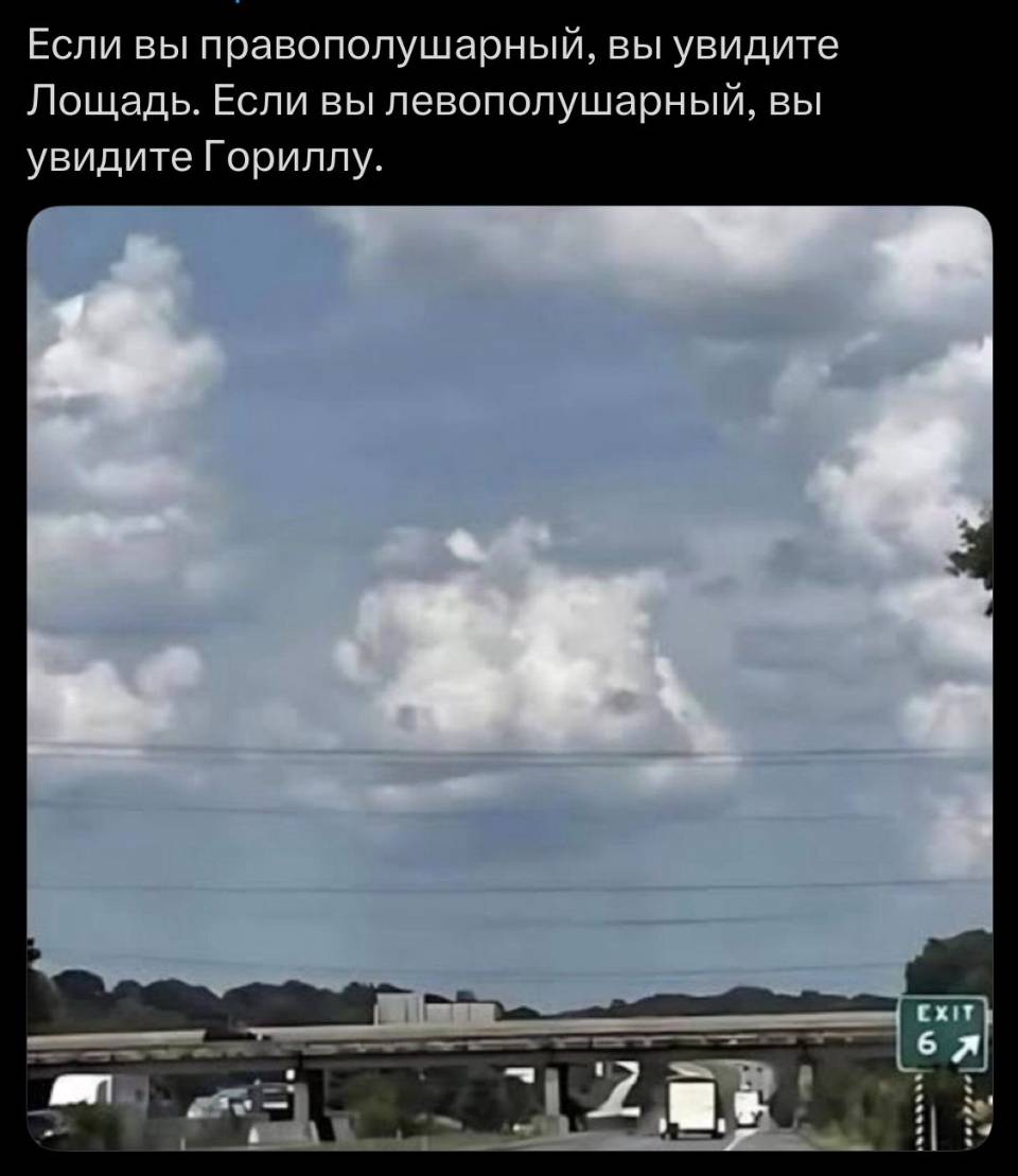 Если вы правополушарный, вы увидите Лощадь.
Если вы левополушарный, вы увидите Гориллу. | Фото | MEME | Картинки с текстом