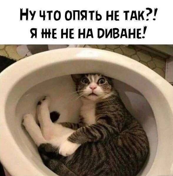 НУ ЧТО ОПЯТЬ НЕ ТАК?! Я ЖЕ НЕ НА ДИВАНЕ!