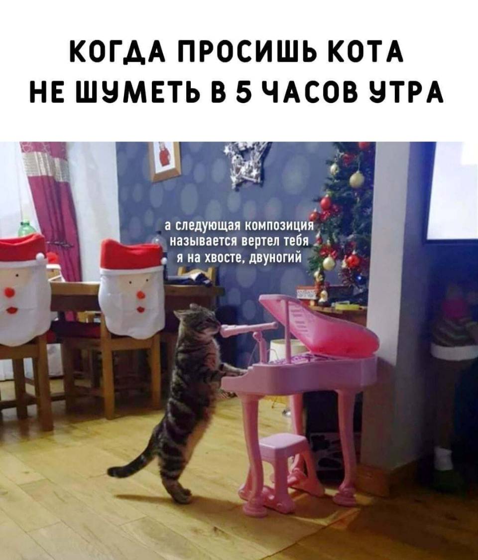 *КОГДА ПРОСИШЬ КОТА НЕ ШУМЕТЬ В 5 ЧАСОВ УТРА*
– А следующая композиция называется: «Вертел тебя я на хвосте, двуногий»