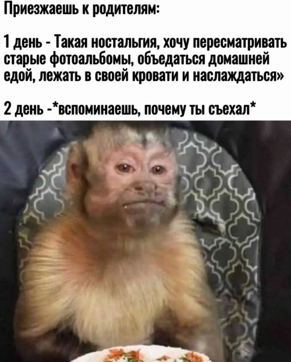 Приезжаешь к родителям:
1 день – Такая ностальгия, хочу пересматривать старые фотоальбомы, объедаться домашней едой, лежать в своей кровати и наслаждаться.
2 день — *вспоминаешь, почему ты съехал*