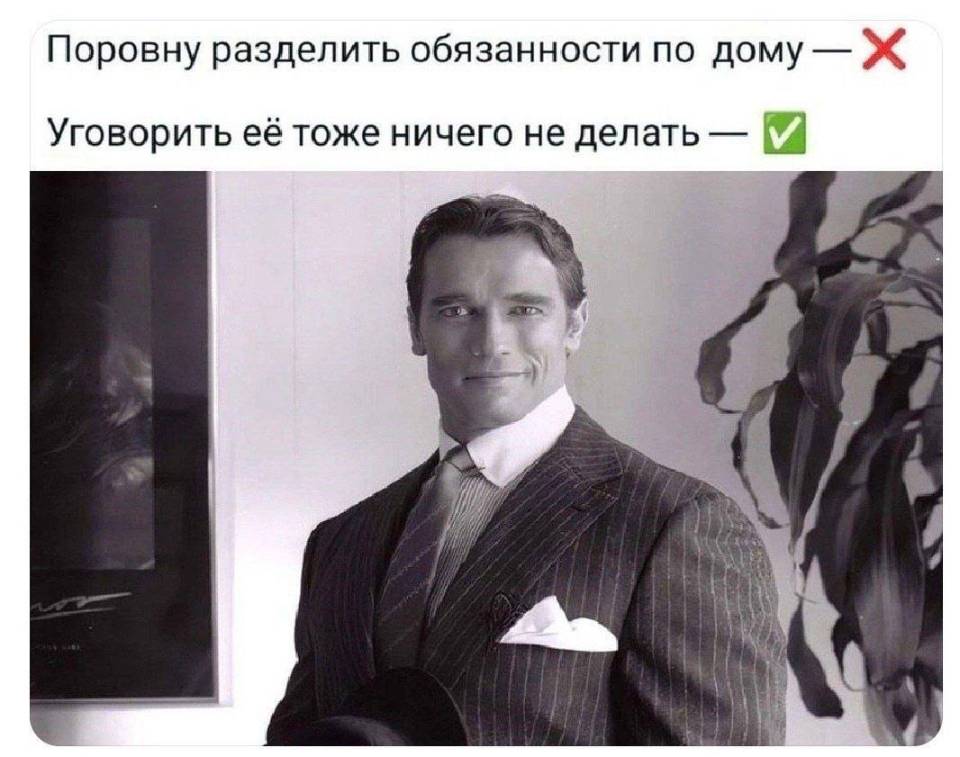 Поровну разделить обязанности по дому — НЕТ.
Уговорить её тоже ничего не делать — ДА!