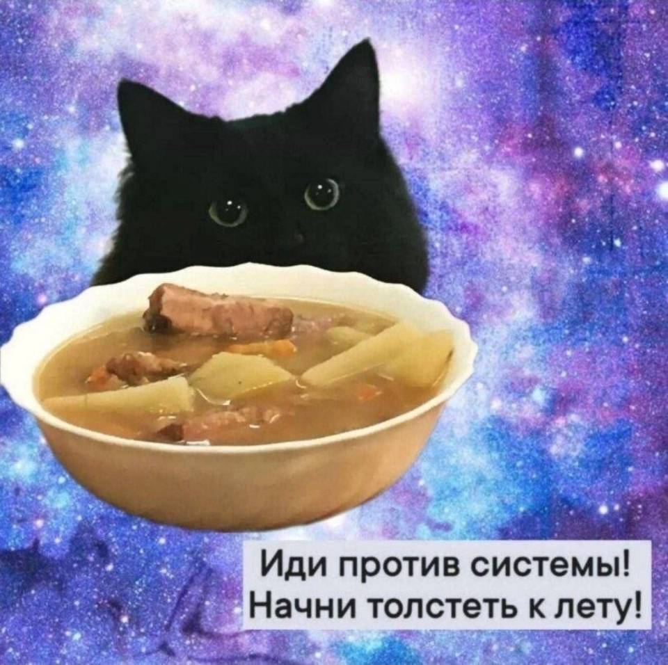 Иди против системы!
Начни толстеть к лету!
