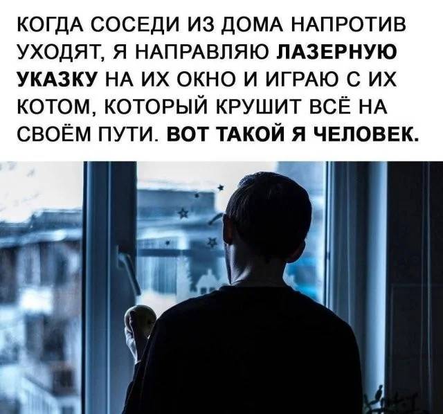 Каждый раз, когда соседи из дома напротив уходят, я направляю лазерную указку на их окно и играю с их котом, который крушит всё на своём пути. Вот такой я человек. | Соседи