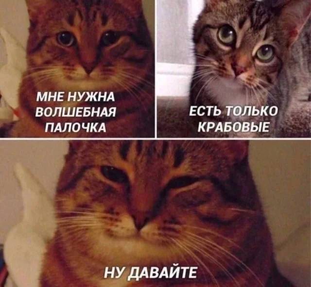 – Мне нужна волшебная палочка.
– Есть только крабовые.
– Ну давайте. | Жизненное