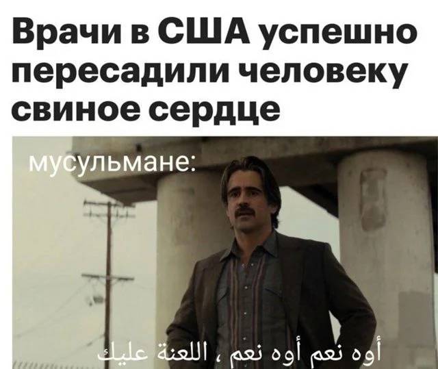 *Врачи в США успешно пересадили человеку свиное сердце*
*Мусульмане*
