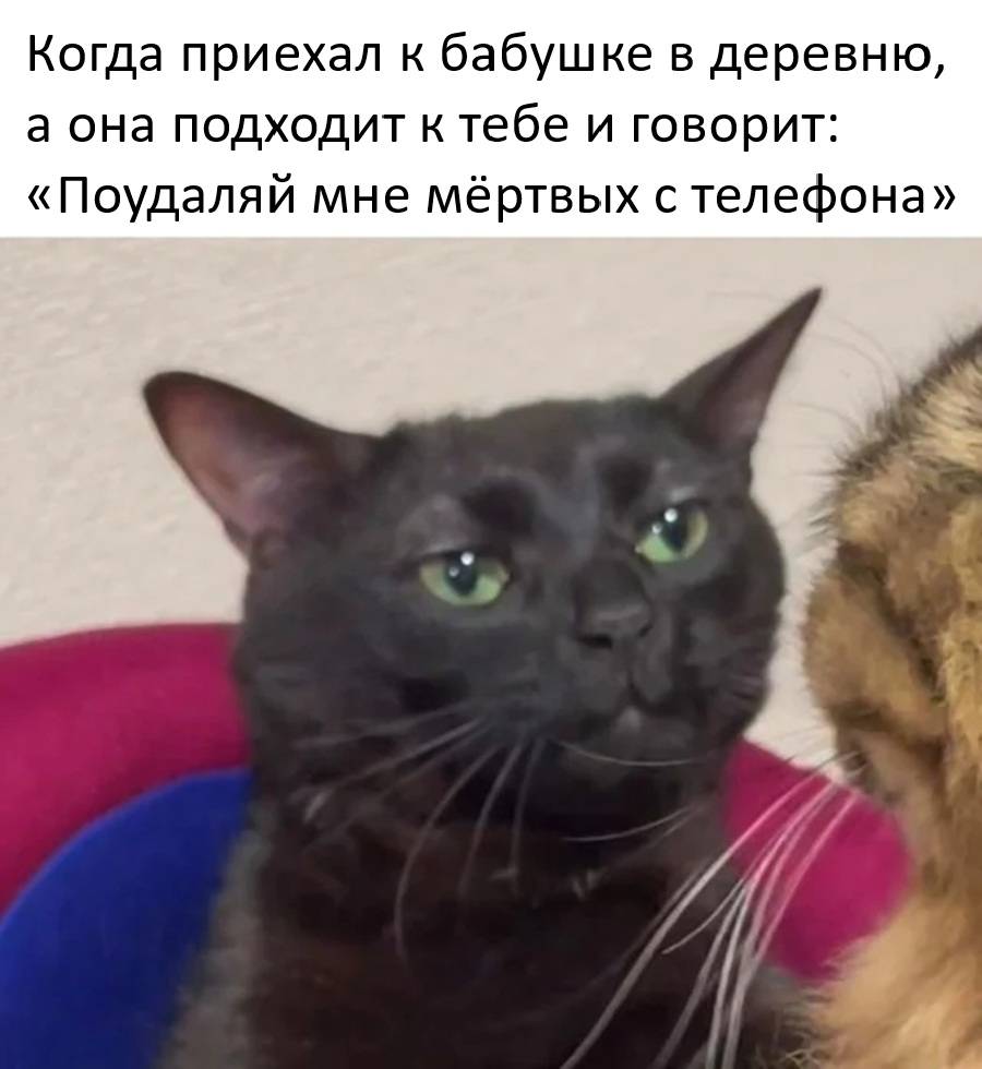 Когда приехал к бабушке в деревню, а она подходит к тебе и говорит: «Поудаляй мне мёртвых с телефона».