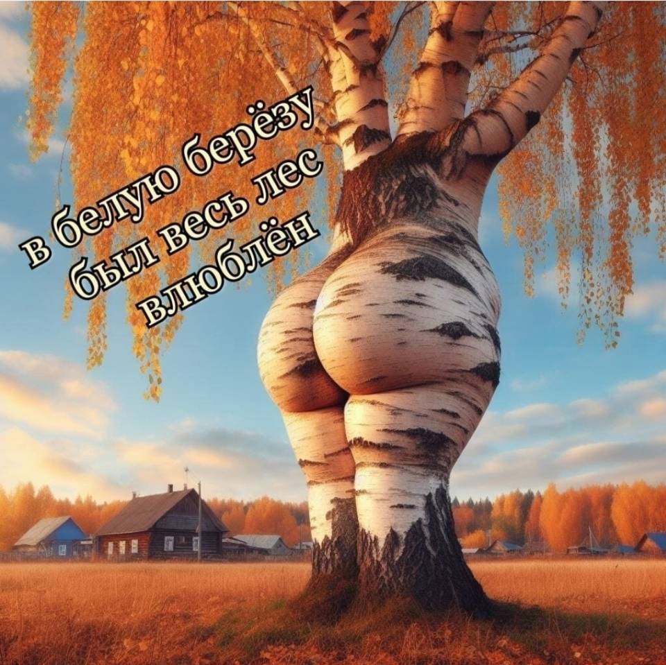 *В Белую берёзу был весь лес влюблён*
