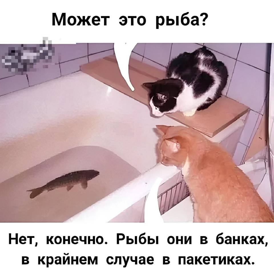 – Может это рыба?
– Нет, конечно. Рыбы они в банках, в крайнем случае в пакетиках.