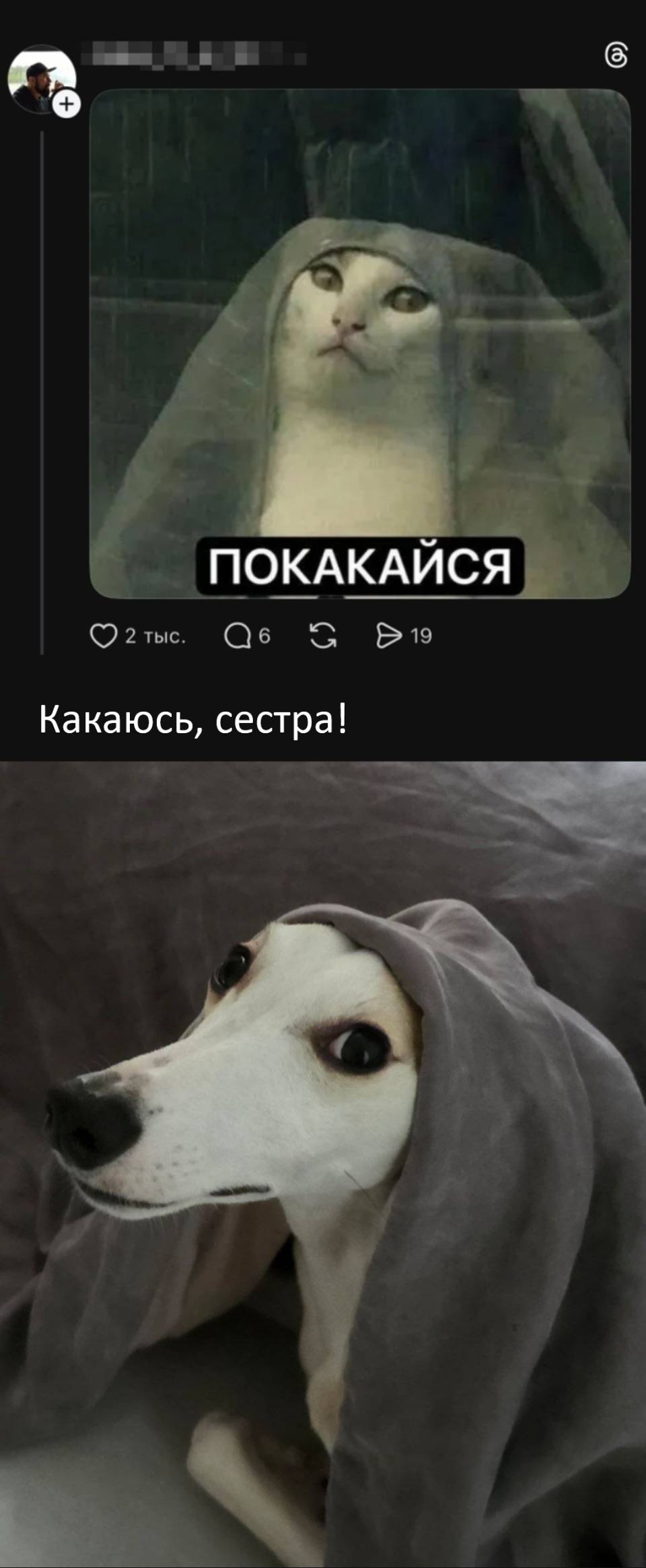 – *ПОКАКАЙСЯ*
– Какаюсь, сестра!