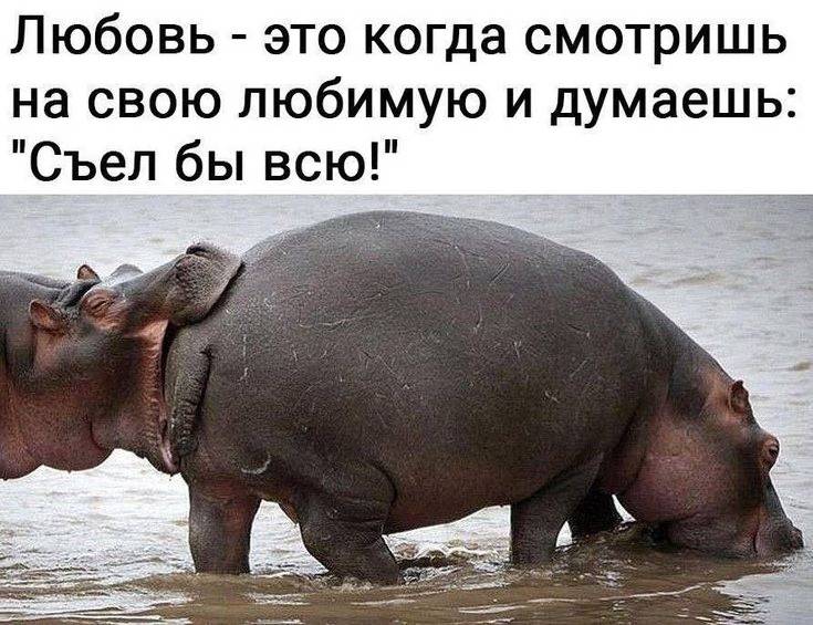 Любовь — это когда смотришь на свою любимую и думаешь: Съел бы всю!