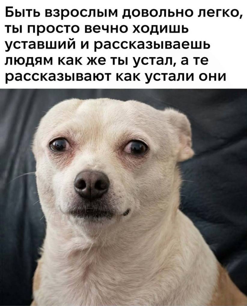 Быть взрослым довольно легко, ты просто вечно ходишь уставший и рассказываешь другим людям как же ты устал, а те рассказывают как устали они.