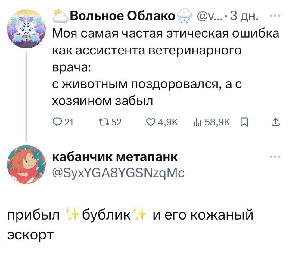 – Моя самая частая этическая ошибка как ассистента ветеринарного врача: с животным поздоровался, а с хозяином забыл.
– Прибыл эскорт бублик и его кожаный эскорт.