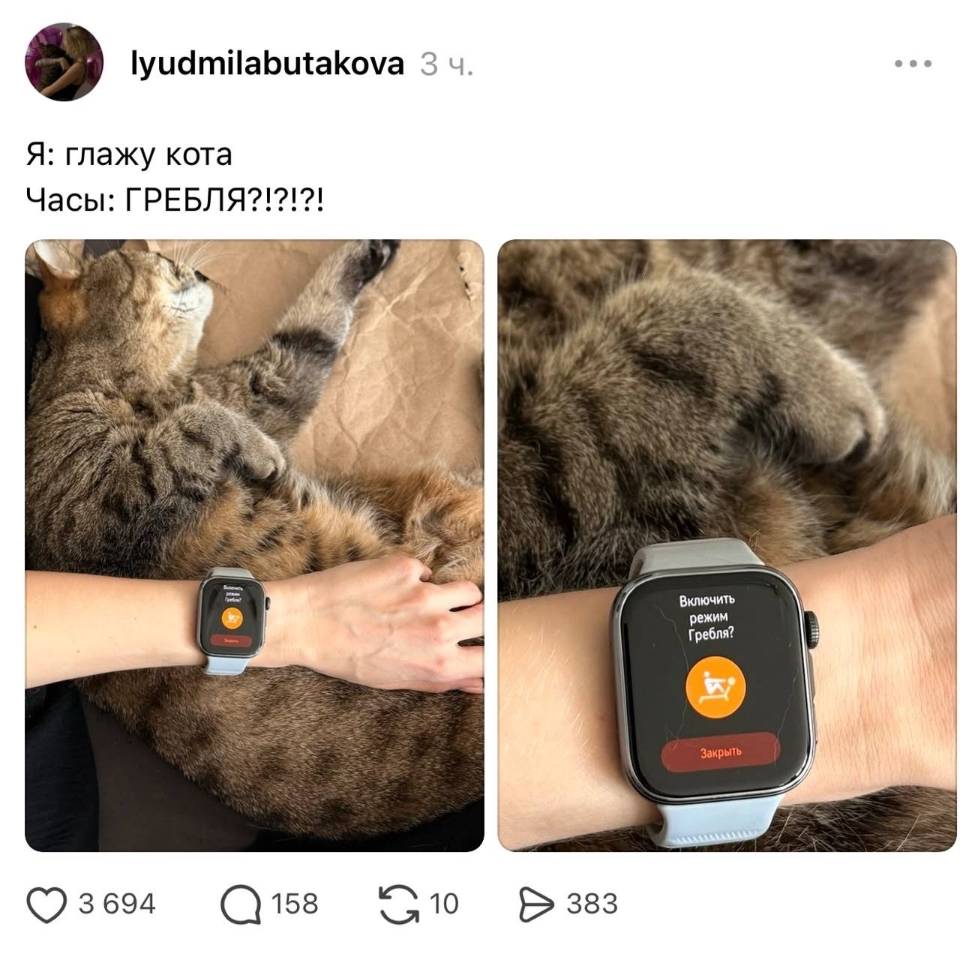 Я: глажу кота
Часы: ГРЕБЛЯ?!?!?!