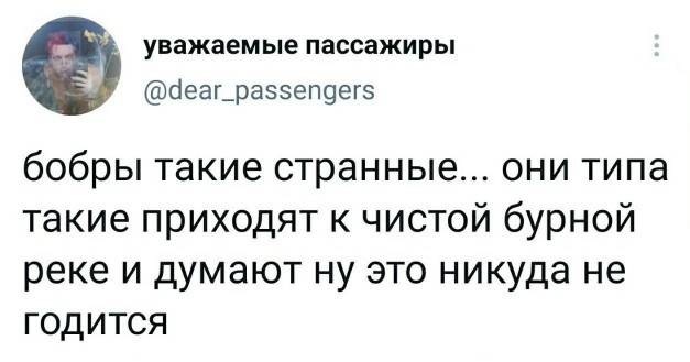 Бобры такие странные... они типа такие приходят к чистой бурной реке и думают ну это никуда не годится.