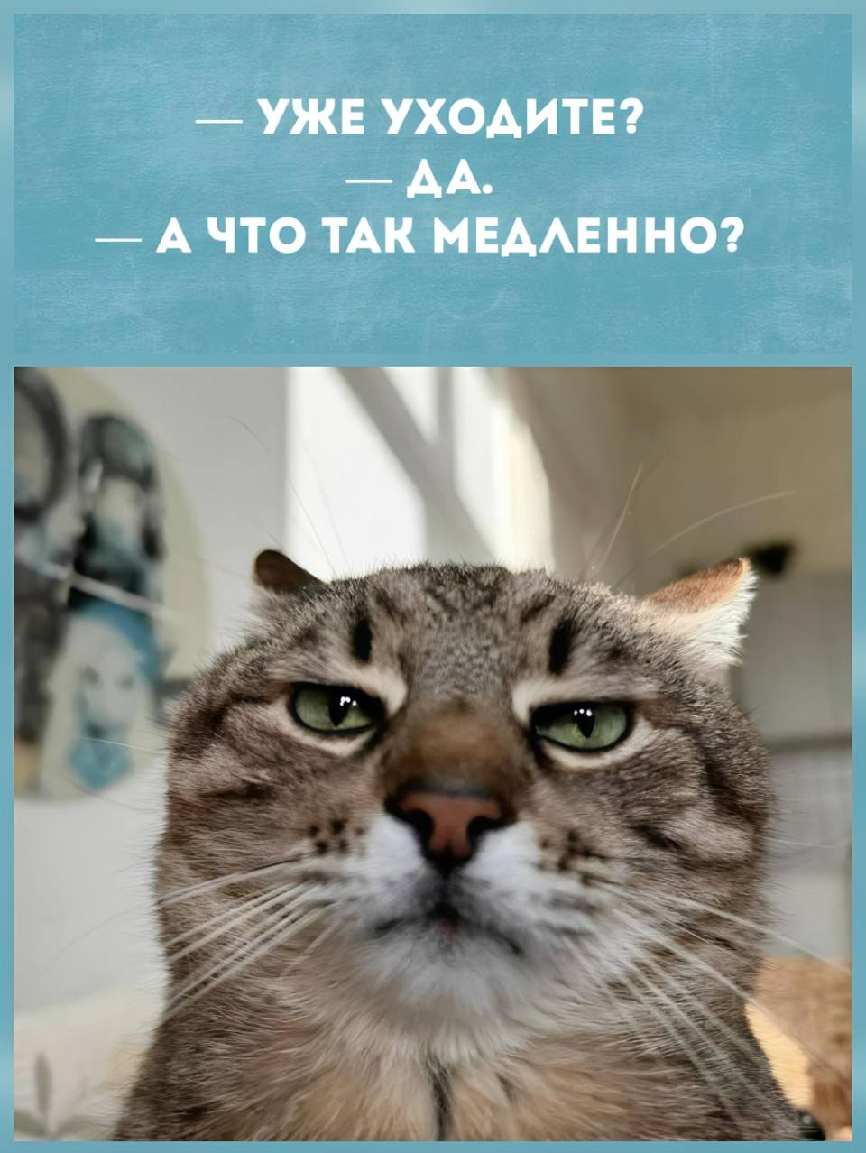 – Уже уходите?
– Да.
– А что так медленно?