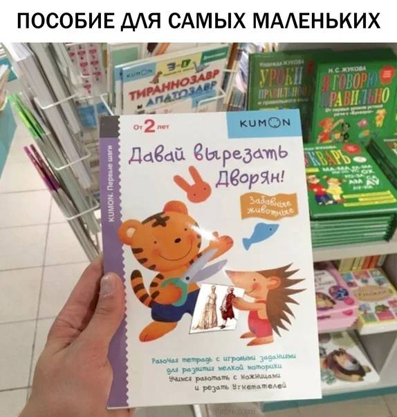 ПОСОБИЕ ДЛЯ САМЫХ МАЛЕНЬКИХ:
*Давай вырезать дворян!*