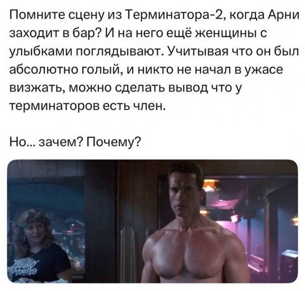 Помните сцену из Терминатора-2, когда Арни заходит в бар? И на него ещё женщины с улыбками поглядывают. Учитывая что он был абсолютно голый, и никто не начал в ужасе визжать, можно сделать вывод что у терминаторов есть член. Но... зачем? Почему?
