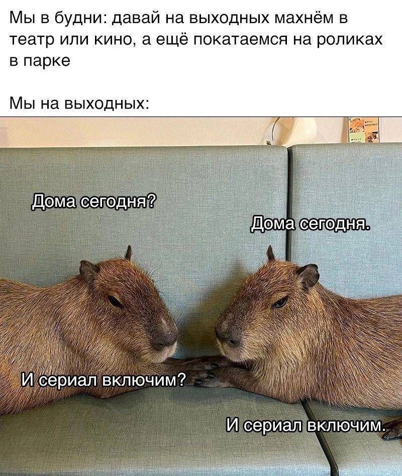 Мы в будни: давай на выходных махнём в театр или кино, а ещё покатаемся на роликах в парке.
Мы на выходных:
– Дома сегодня?
– Дома сегодня.
– И сериал включим?
– И сериал включим.