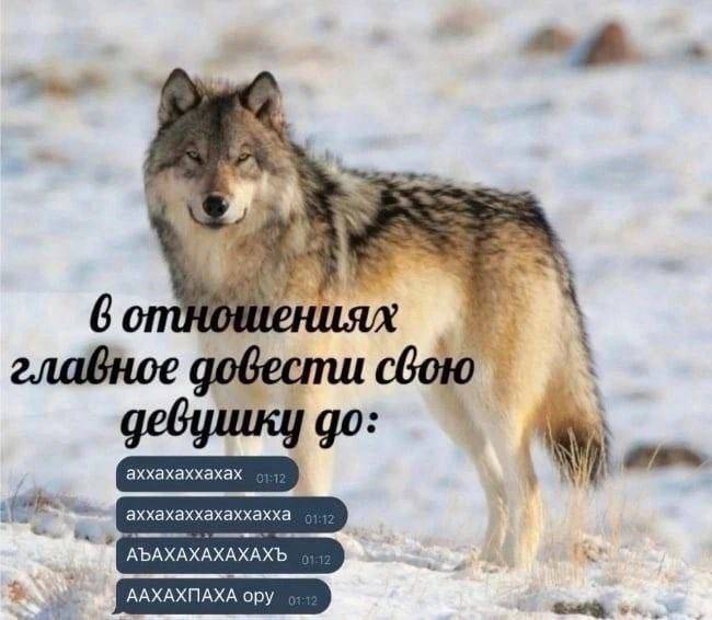 В отношениях самое главное довести свою девушку до:
аххахаххахах
аххахаххахаххахха
АЪАХАХАХАХАХЪ
ААХАХПАХА ору