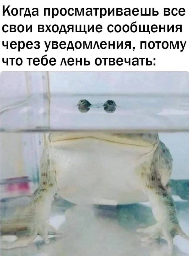 Когда просматриваешь все свои входящие сообщения через уведомления, потому что тебе лень отвечать: О_О