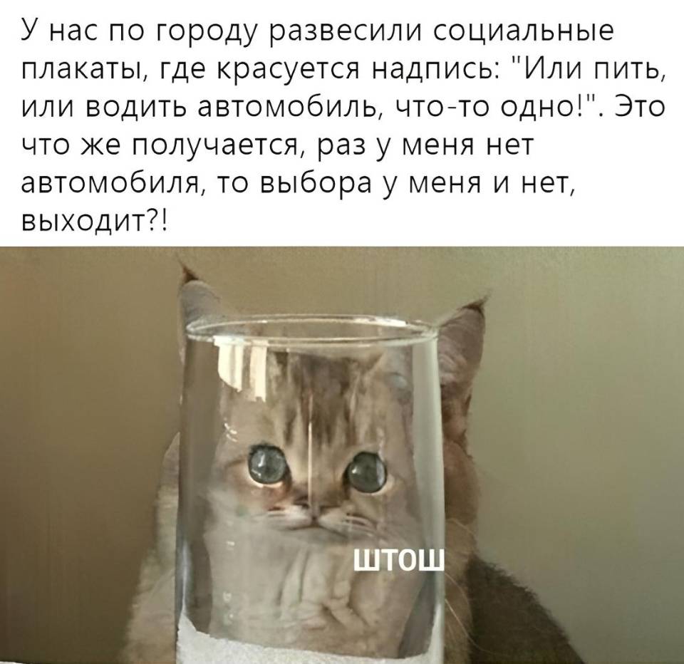У нас по всему городу развесили социальную рекламу с надписью: «Или пить, или водить автомобиль, что-то одно!». Это что же получается, раз у меня нет автомобиля, то выбора у меня и нет, получается?!